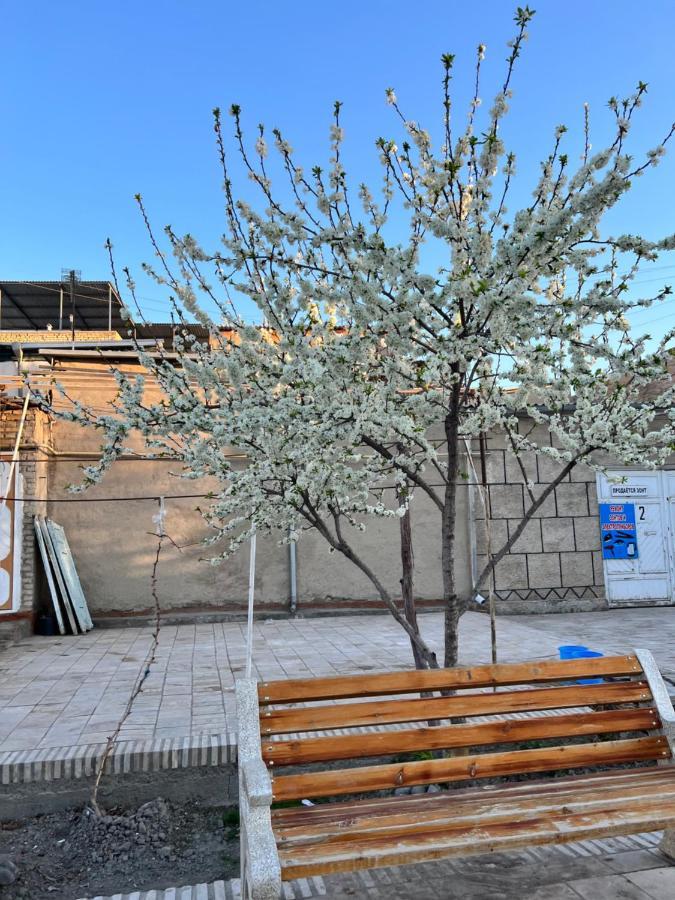 Mohinur Hostel Bukhara Eksteriør billede